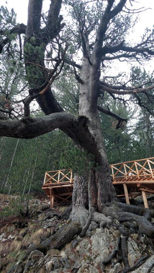 Free Spa В Св. Иван Рилски - Сладък Дом Сред Лукс Bansko Eksteriør billede